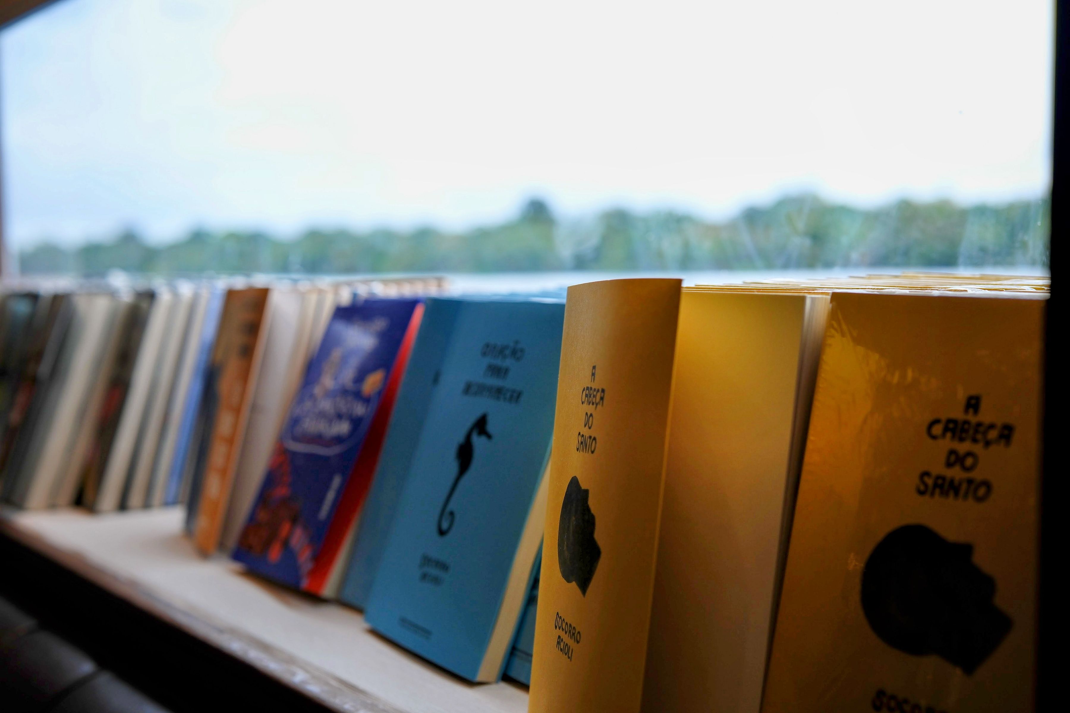 Livros enfileirados em uma estante diante do rio
