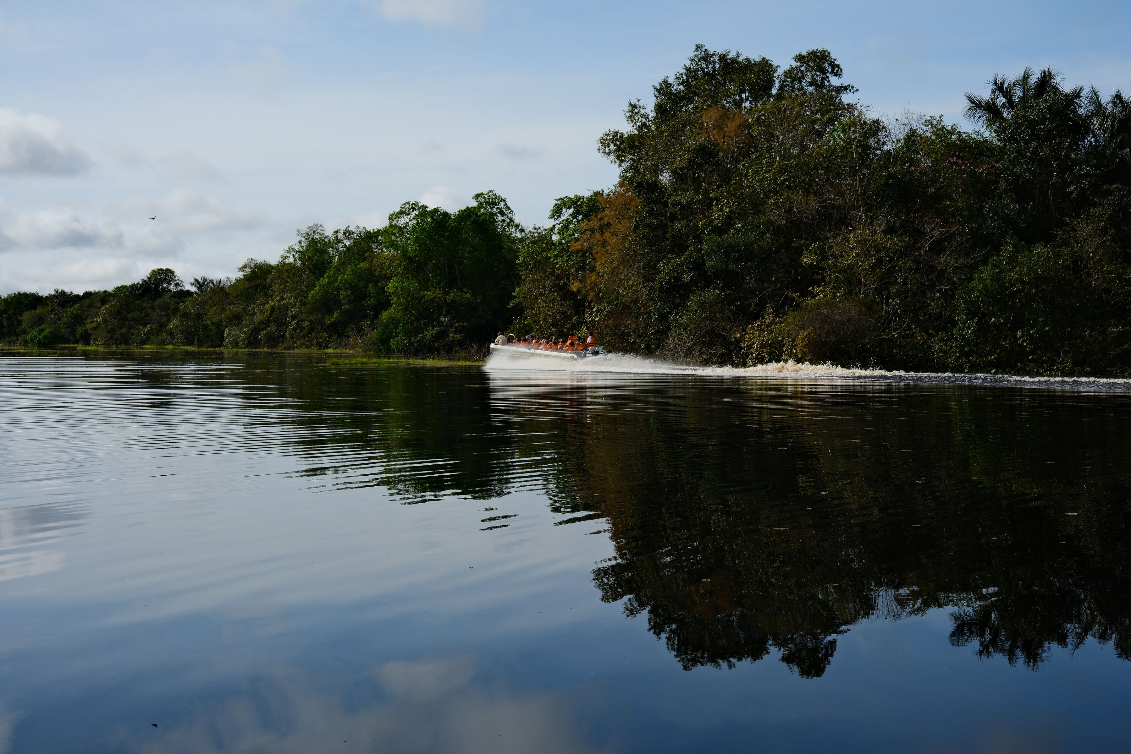 Margem de areia branca do Rio Negro em Anavilhanas