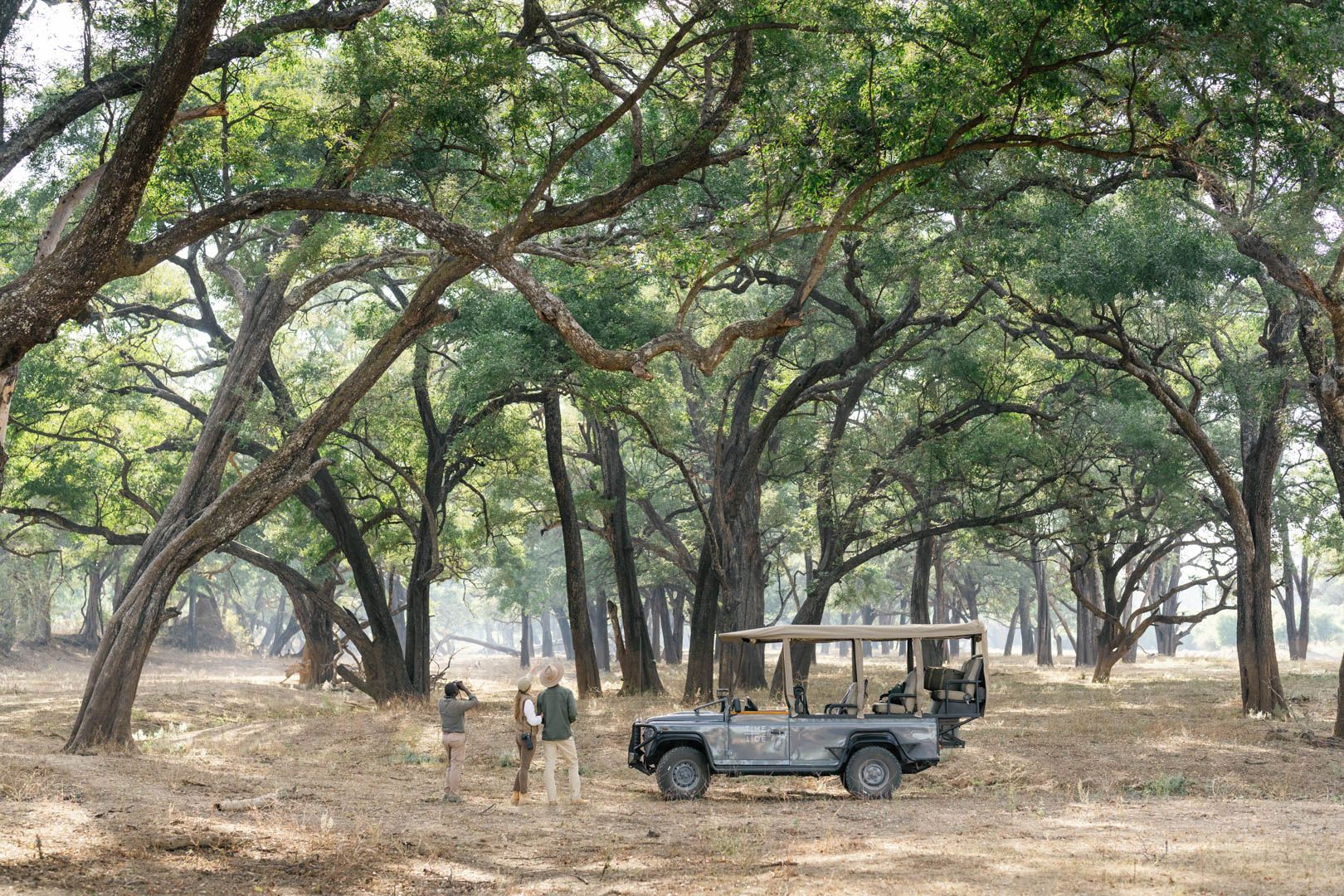 Game drive from Time + Tide Kakuli in South Luangwa