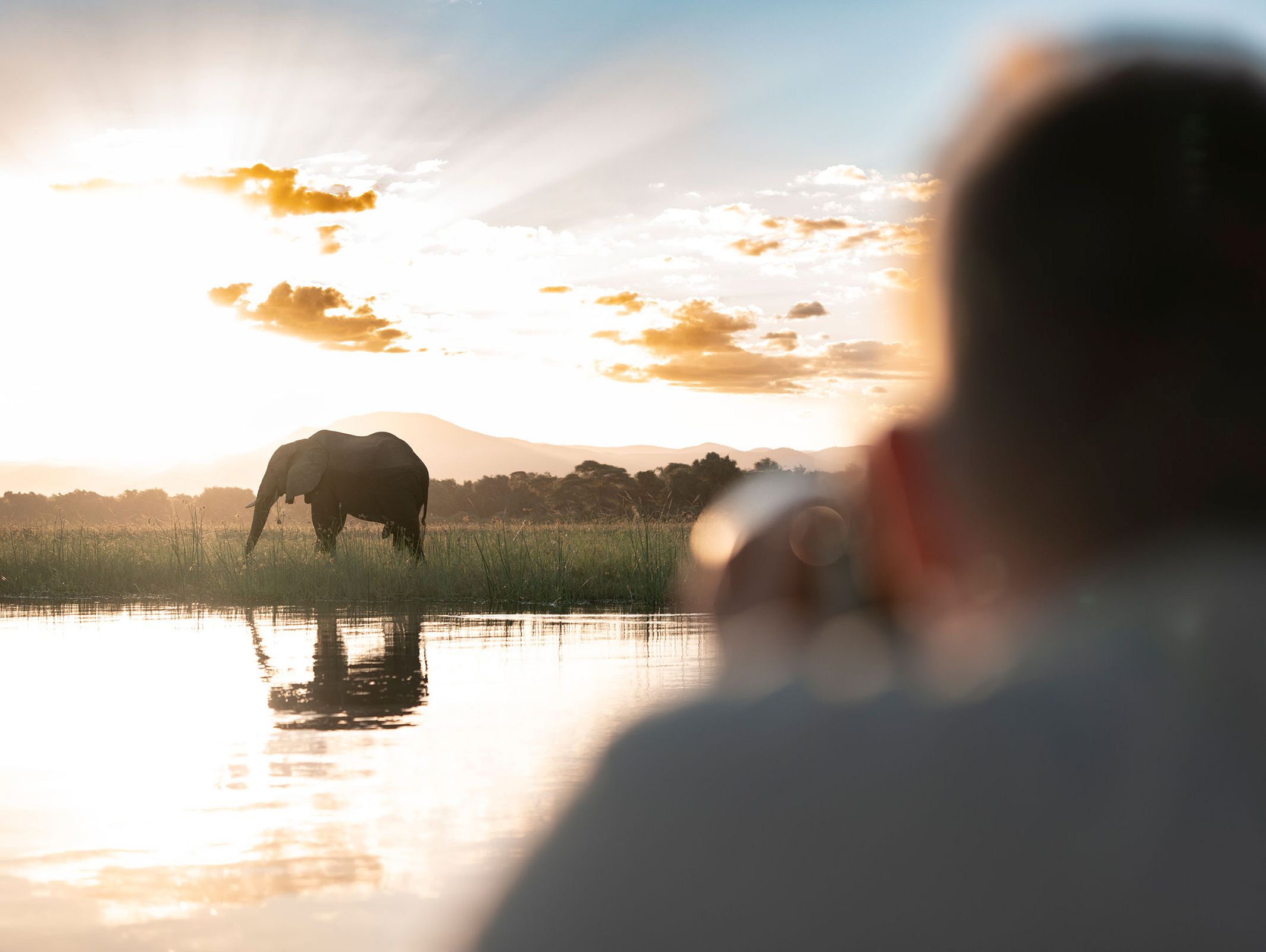 Elephant beside the Lower Zambezi near Kutali Camp