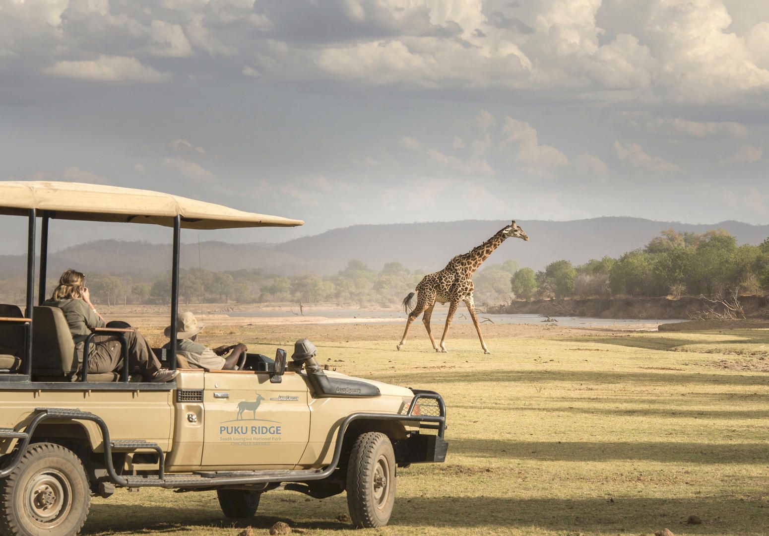 Thornicroft's giraffe seen on a game drive at Puku Ridge