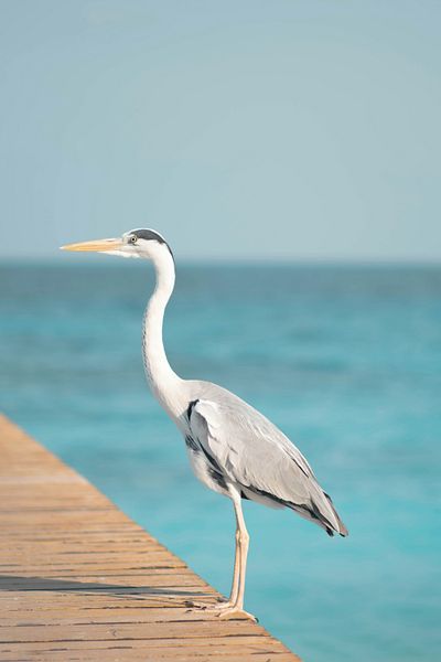 Your Maldives Packing List