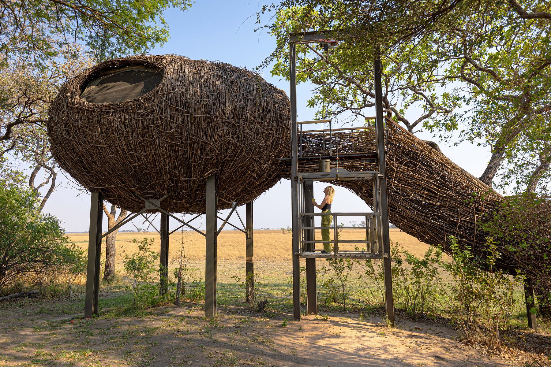 Accommodation and guest areas at Chisa Busanga Camp