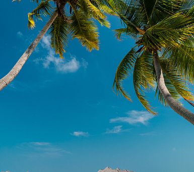 Option #2: A Beach Escape