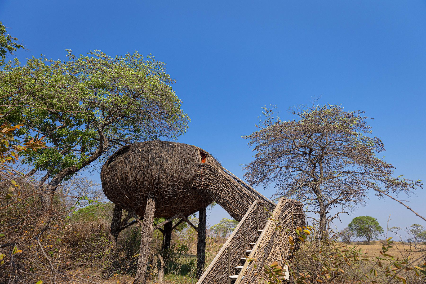 Accommodation and guest areas at Chisa Busanga Camp