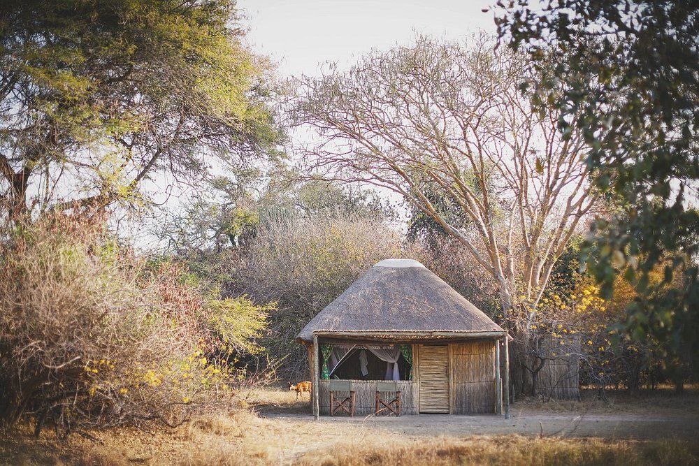 Accommodation and guest areas at Ntemwa-Busanga Camp